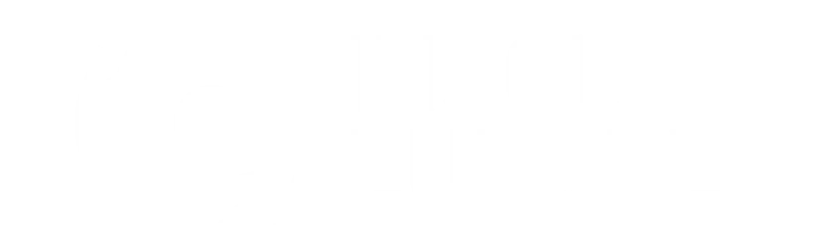 Insol Europe